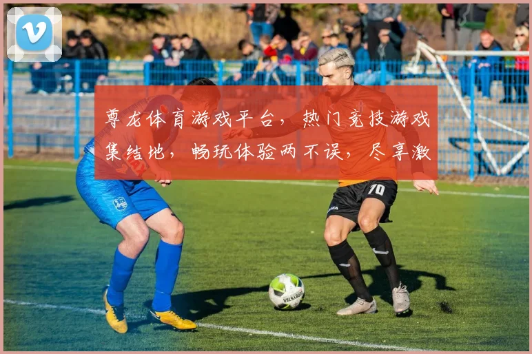 尊龙体育游戏平台，热门竞技游戏集结地，畅玩体验两不误，尽享激情竞技乐趣