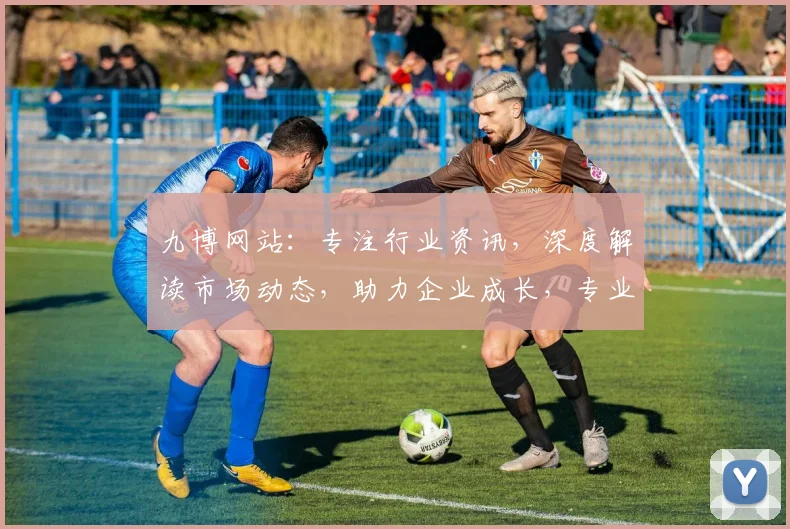 九博网站：专注行业资讯，深度解读市场动态，助力企业成长，专业服务两不误