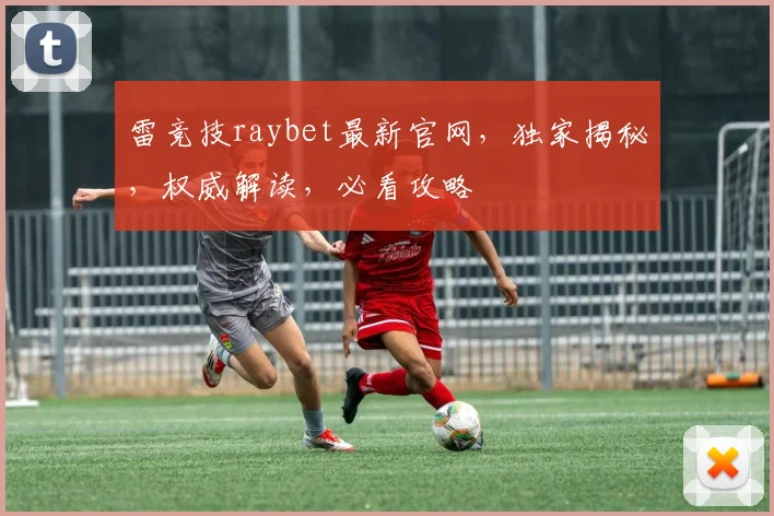 雷竞技raybet最新官网，独家揭秘，权威解读，必看攻略