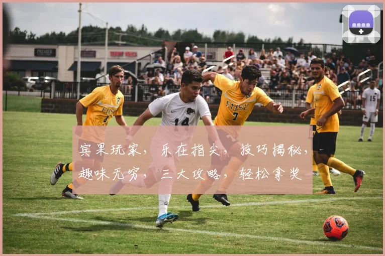 宾果玩家，乐在指尖，技巧揭秘，趣味无穷，三大攻略，轻松拿奖